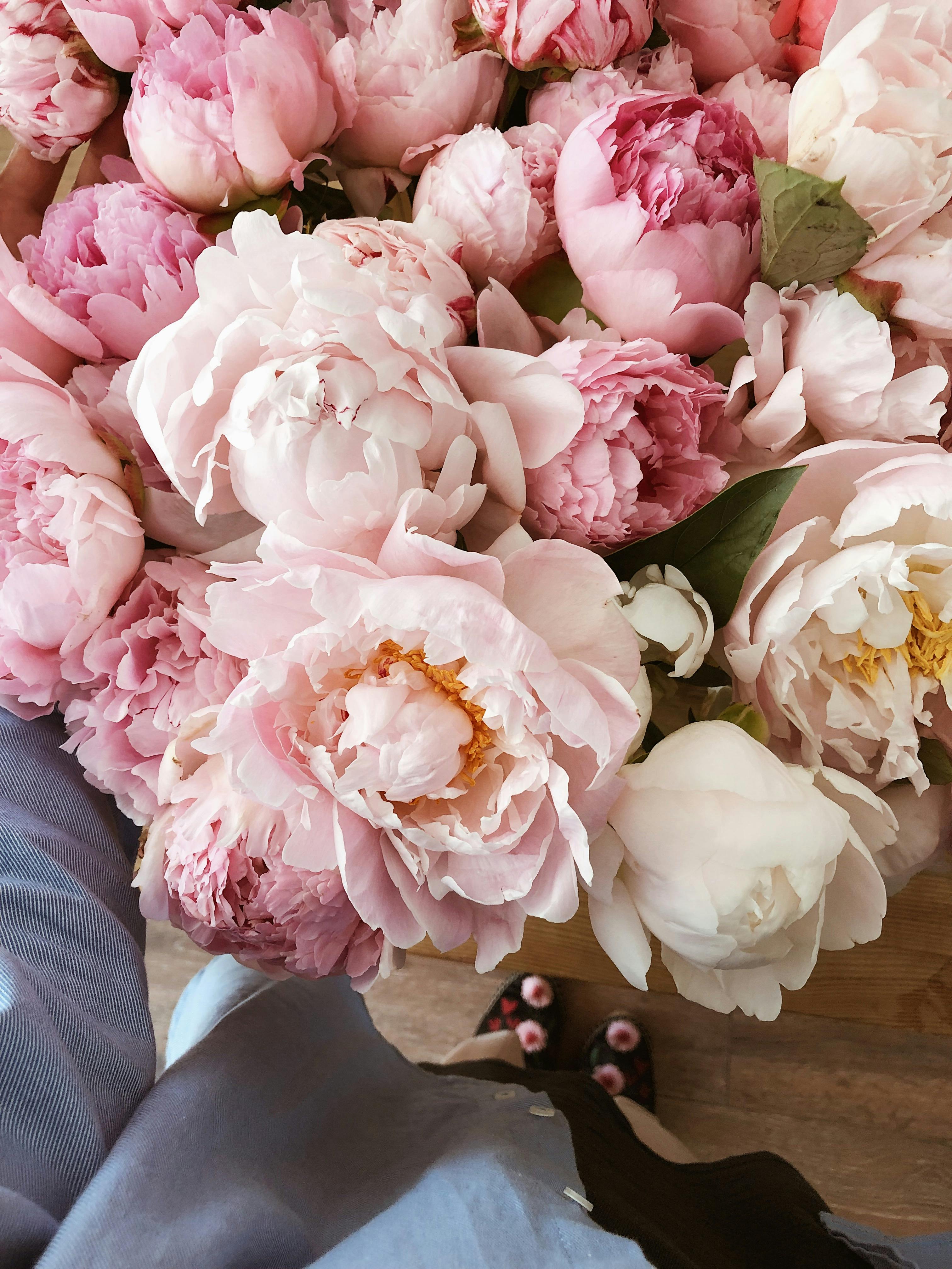 Peonies